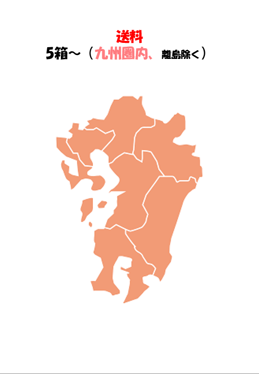 送料【九州圏内、離島除く】5箱～